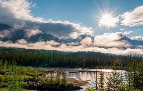 Картинка лес, солнце, свет, горы, вид, водоем