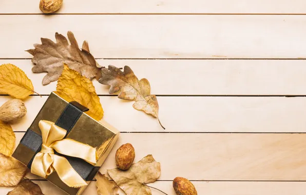 Картинка осень, листья, фон, дерево, подарок, colorful, лента, орехи