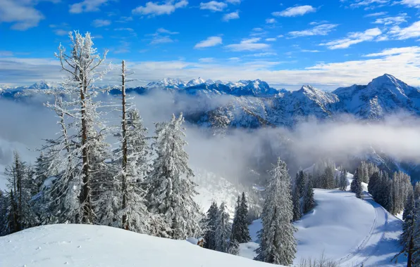 Картинка зима, снег, утро
