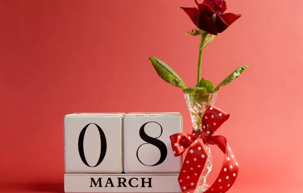 Картинка фон, роза, ваза, красная, бантик, 8 марта, ленточка