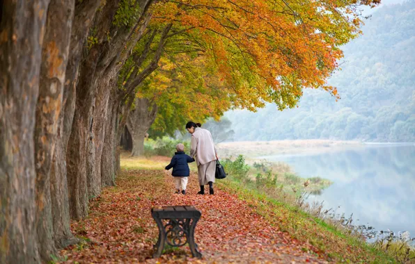 Картинка осень, деревья, пейзаж, природа, пруд, парк, аллея, мама