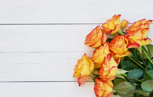 Картинка цветы, розы, букет, wood, flowers, orange, roses