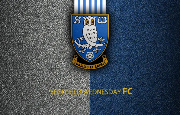 Wallpaper, sport, logo, football, English Premier League, Sheffield Wednesday