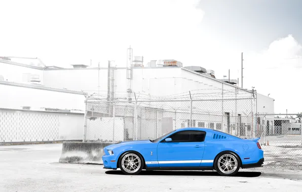 Картинка сетка, голубой, забор, Mustang, Ford, Shelby, GT500, мустанг