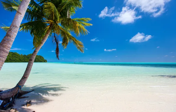 Песок, море, пляж, солнце, пальмы, берег, summer, beach