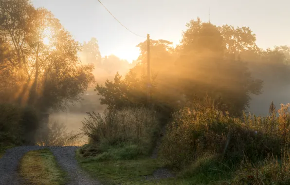 Картинка дорога, туман, утро