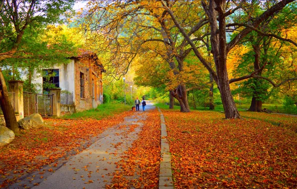 Картинка Осень, Парк, Fall, Листва, Park, Autumn, Colors, Прогулка