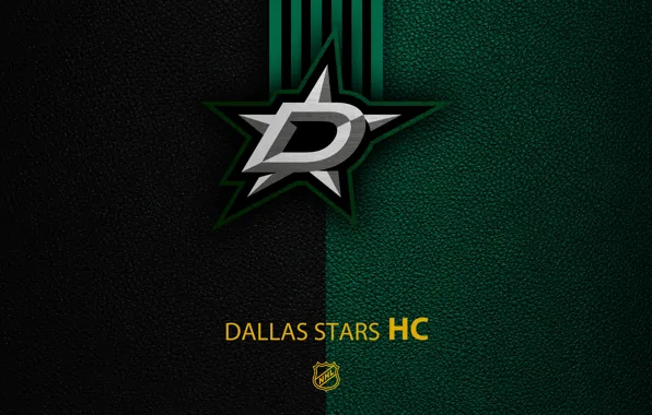 Wallpaper, sport, logo, NHL, hockey, Dallas Stars