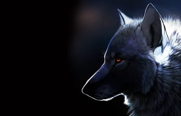 Картинка взгляд, животное, волк, арт, профиль