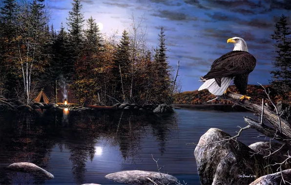 Картинка осень, ночь, река, орел, луна, лодка, костер, палатка