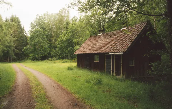 Картинка зелень, лес, деревья, домик