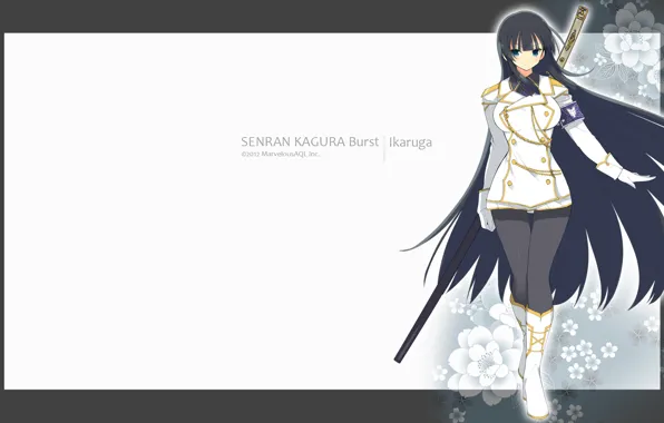 Девушка, рамка, Senran Kagura