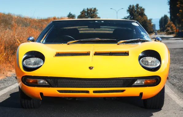 Цвет, Авто, Lamborghini, Машина, Глаза, 1971, Фары, Автомобиль