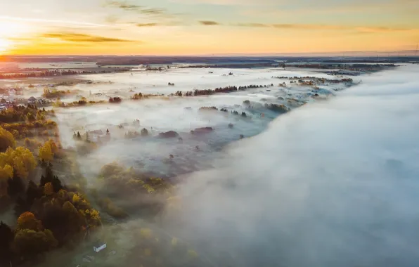 Природа, туман, утро