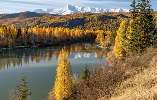 Осень, лес, снег, деревья, горы, озеро, отражение, холмы