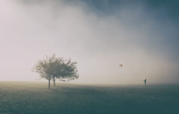 Картинка деревья, человек, воздушный змей, trees, man, kite, Uschi Hermann