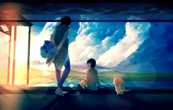 Картинка небо, кот, девушка, солнце, облака, закат, цветы, собака