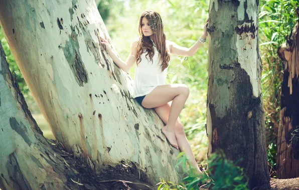 Картинка девушка, дерево, шорты, ножки, красивая