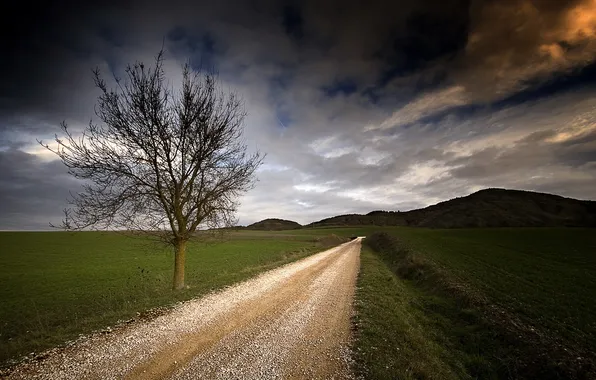 Картинка дорога, поле, пейзаж, дерево