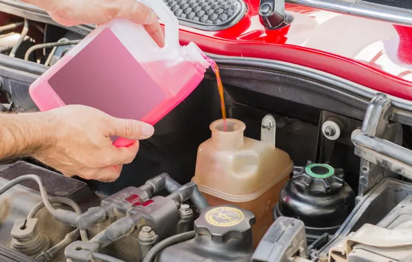 Vehicle, engine, oil