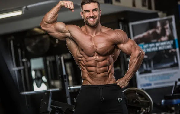 Спорт, мужчина, торс, мускулы, спортзал