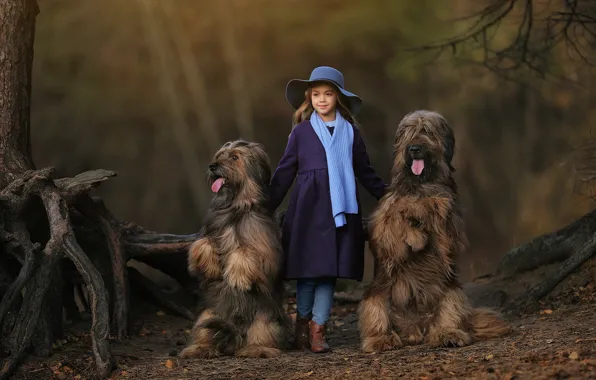 Картинка собаки, шляпа, шарф, девочка, Анастасия Бармина