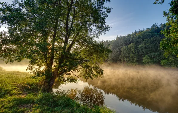 Картинка осень, трава, деревья, река, ручей, Германия, Бавария, Шорндорф