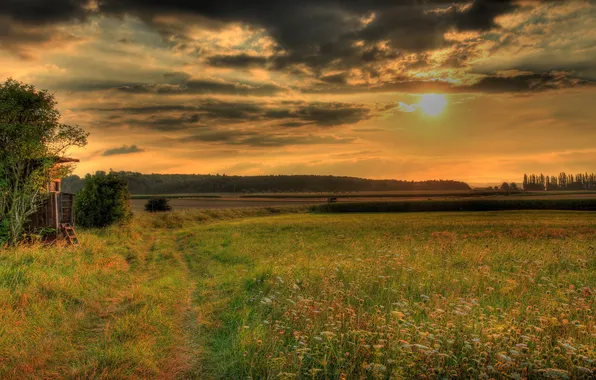 Картинка небо, трава, природа, фото, HDR, Германия, луга, Гессен Хунген