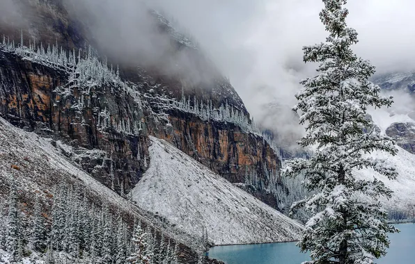 Картинка зима, снег, деревья, горы, озеро
