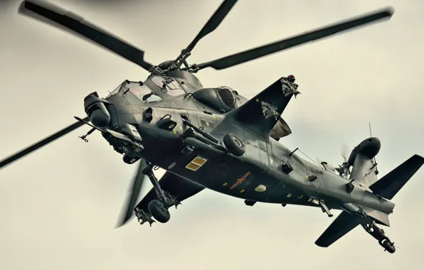 Полет, вертолёт, китайский, ударный, КНР, CAIC WZ-10