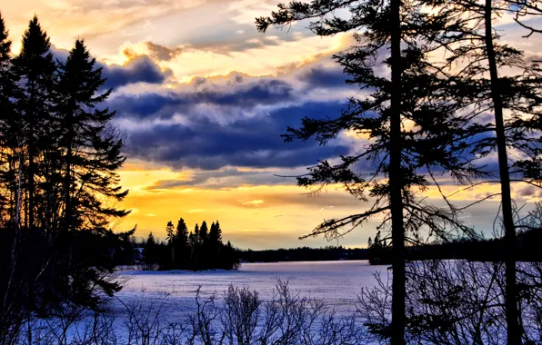 Canada, river, trees, nature, sunset, winter, autumn, lake