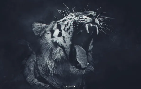 Тигр, Животные, Tiger