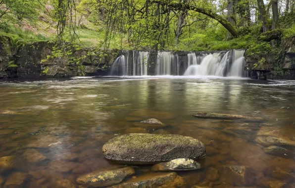 Картинка лес, река, камни, Англия, водопад, England, North York Moors, Walker Mill Foss