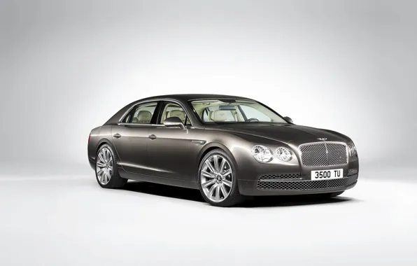Bentley, Grey, Flying, (2014), Spur