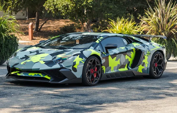 Картинка Lamborghini, Tuning, Avendator, camouflage