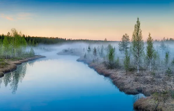 Landscape, sunrise, Suomi, Mist Rising