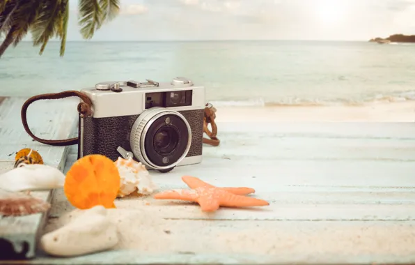 Море, лето, природа, пальма, фотоаппарат, морская звезда