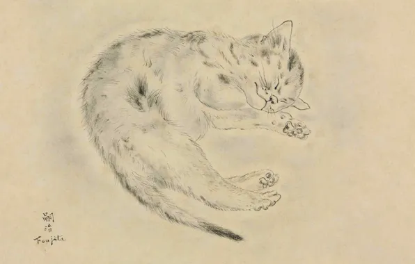 Бумага, 1928, Tsuguharu Foujita, перо и чернила, Спящая кошка, размывка серым
