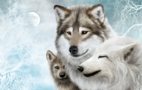 Картинка луна, хищники, семья, волки