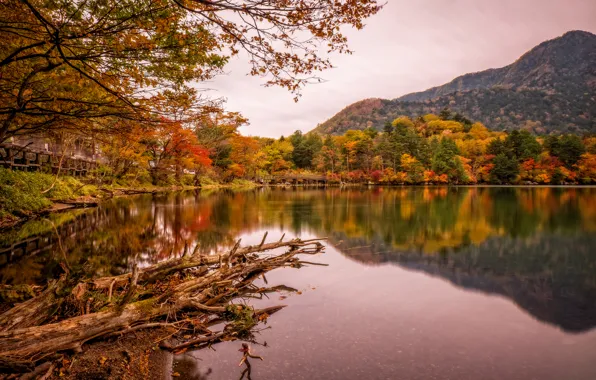 Осень, деревья, горы, мост, озеро, парк, Япония, Nikko
