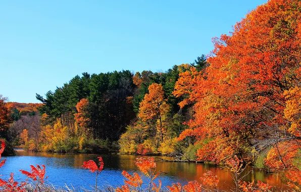 Картинка осень, небо, деревья, река