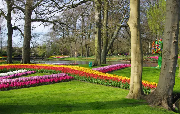 Цветы, парк, река, весна, тюльпаны, Нидерланды, tulips, Netherlands