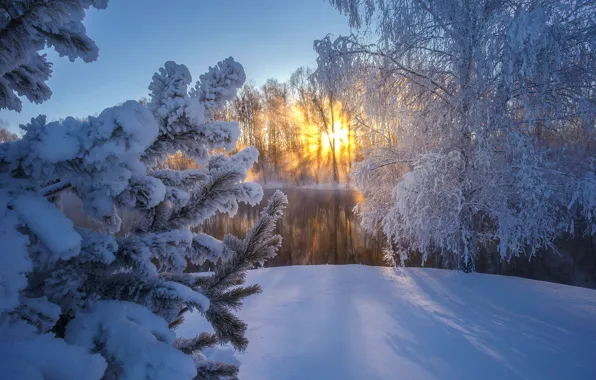 Картинка зима, иней, снег, деревья, закат, река, ель, Россия
