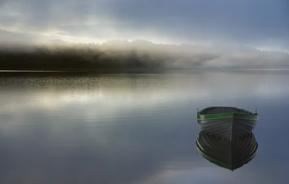 Картинка лес, туман, озеро, лодка