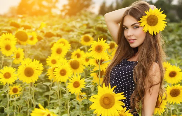 Поле, лето, девушка, подсолнухи, природа, поза, портрет, платье
