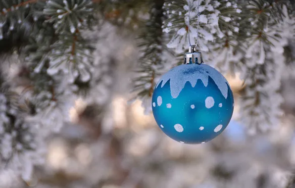 Зима, елка, новый год, рождество, ель, шарик, украшение