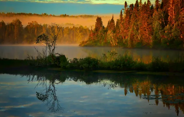Картинка осень, пейзаж, природа, туман, озеро, утро, Канада, леса
