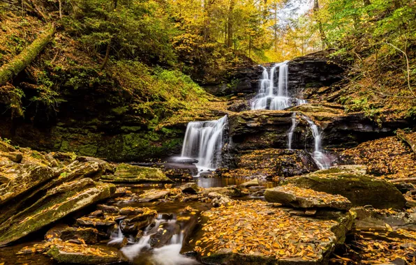 Осень, камни, листва, водопад, водопады, листопад, каскад, золотая осень