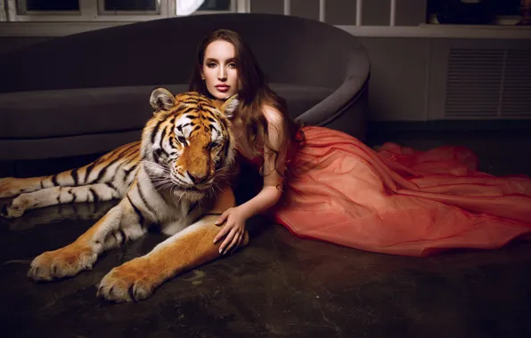 Взгляд, девушка, тигр, поза, стиль, диван, модель, платье