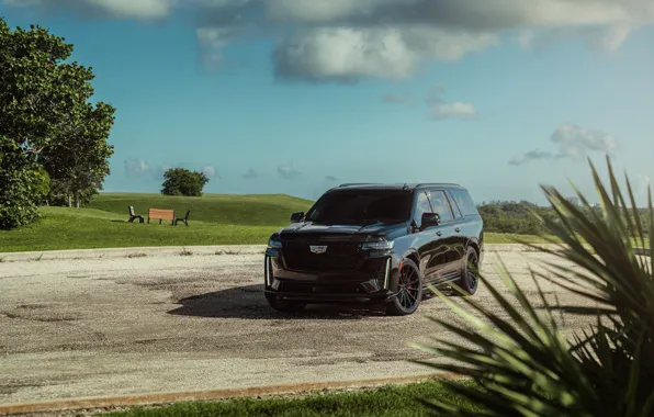 Escalade, Black, Wheels